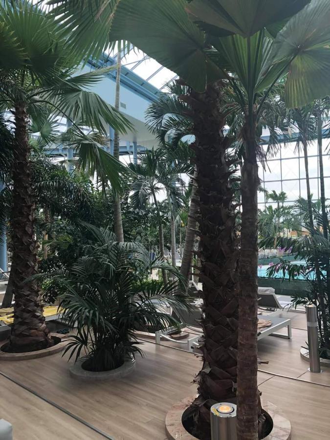 Grabska Osada Apartamenty - 100M Od Suntago Park-Domki Ogrzewane Caloroczne Мщонув Екстер'єр фото